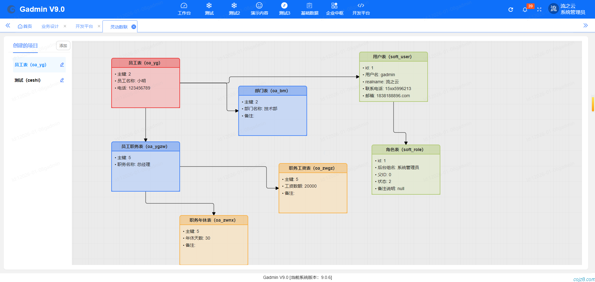 蝈蝈博客 PHP开源工作流 PHP低代码开发平台