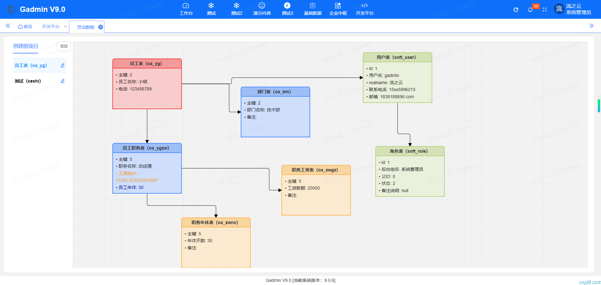 蝈蝈博客 PHP开源工作流 PHP低代码开发平台